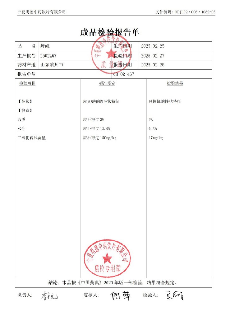 2502467蟬蛻.jpg