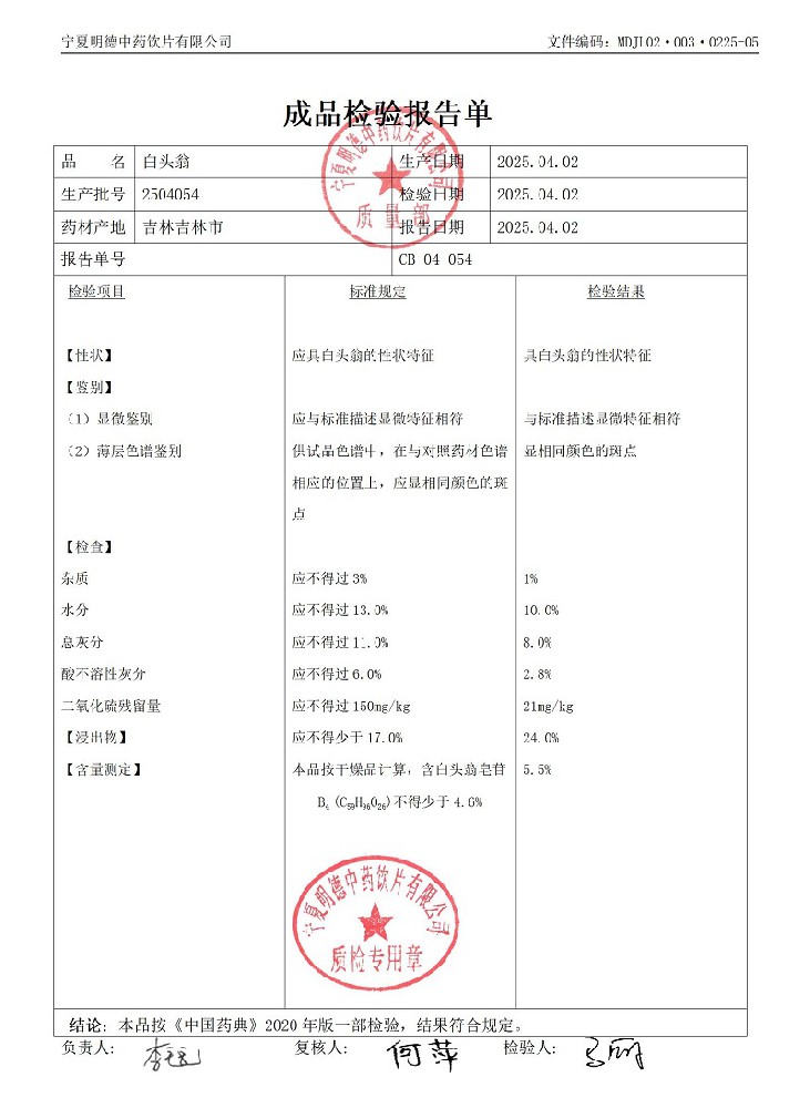 2504054白頭翁.jpg