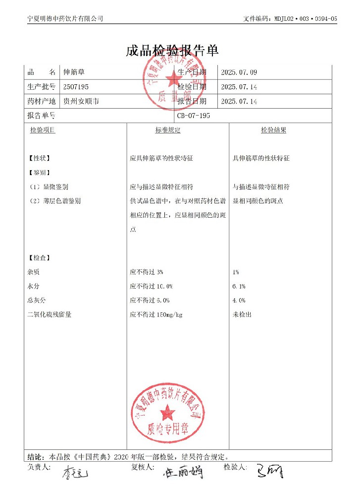 2507195伸筋草.jpg